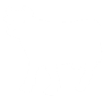 Icon cow