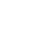 Icon mouse