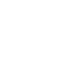 Icon human