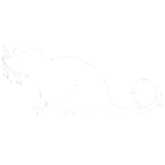 Icon rat