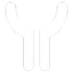 Icon Receptor