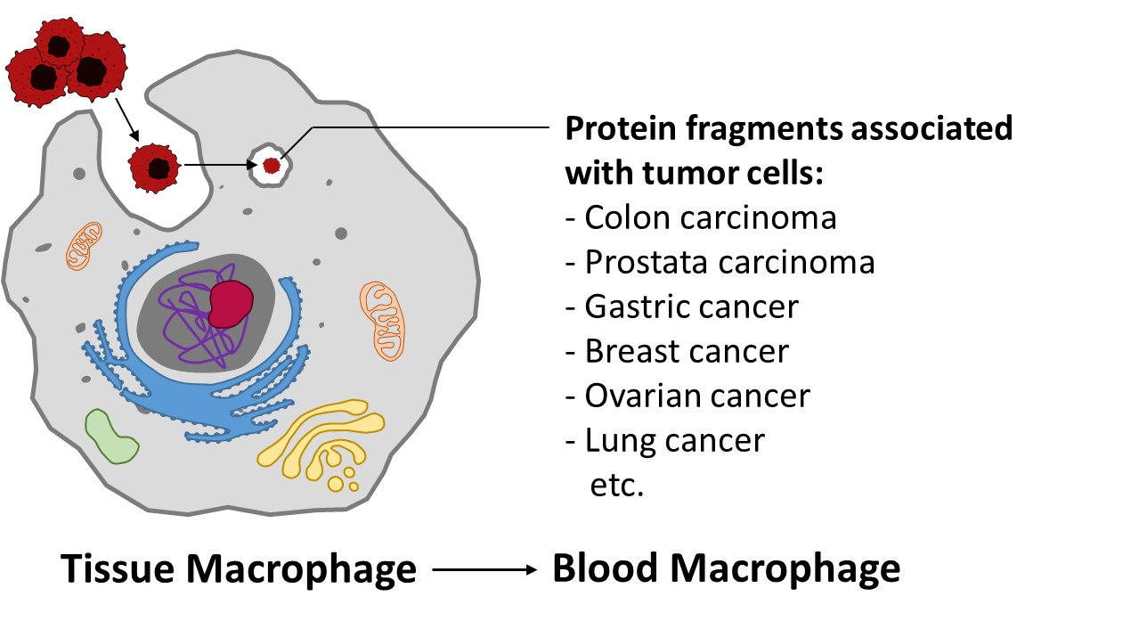 FlowISiAM: Detection of diseases and other markers via macrophages